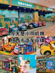 -纽西卡汽车小镇(大悦城店)