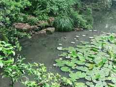 景点-六和塔文化公园