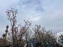 -观澜湖生态运动公社