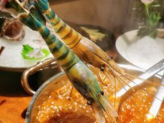 -揽季锅物会.福建黄鱼.海鲜姿造(五四路店)