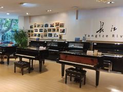 -柏斯琴行(汾阳店)