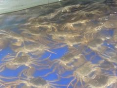 -阳澄湖大闸蟹·琼灵阁牌品牌连锁(吴中总店)