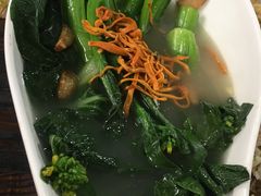 -石岐乳鸽村(桥观坊南四巷店)