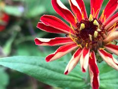 -上海浦江郊野公园-4号停车场