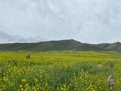 -扁都口生态休闲旅游区
