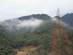 -林坑古村落