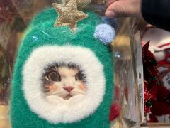 -九木杂物社(运河上街店)