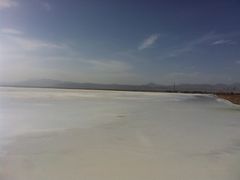 -郑贵初烧烤·烤凤爪的发明者(王家湾店)