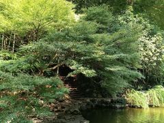 -杭州植物园