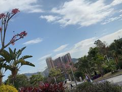 -白石龙音乐公园