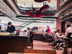 -ZAFFERANO西班牙海鲜饭(上海首店)