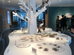 -漩门湾国家湿地公园