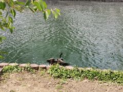 -什刹海