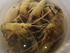 -DGE季风钓虾营地·团建·聚会