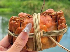 -蟹村草堂·苏式园林人文农家·大闸蟹