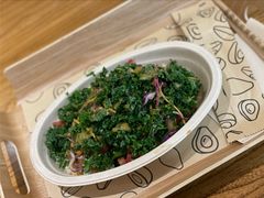 -油梨树 AVOCADO TREE(亮马桥店)