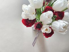-双季花艺园艺市场(浦东店)