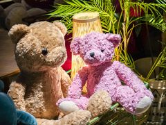 -咖法森林·咖啡  酒吧(天河店)