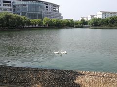 -南京财经大学(仙林校区)