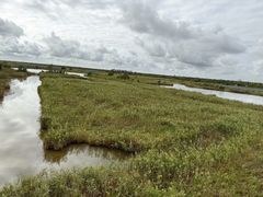 -盐城丹顶鹤湿地生态旅游区