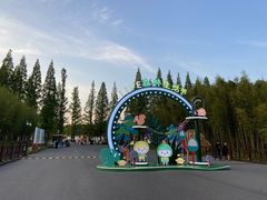 -黄海国家森林公园