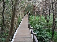 -新江湾城公园