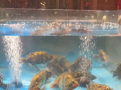 -耕渔小院·湖南鱼鲜(望城店)