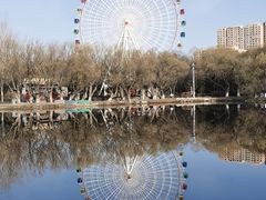 -青城公园