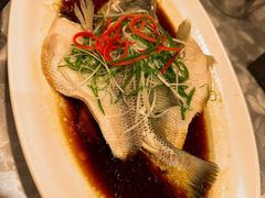 -朱记乳鸽王·非遗石岐乳鸽·全鸽宴(大兴旗舰店)