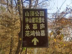 -紫金山山顶公园