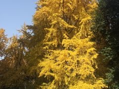 -四川大学(华西校区)