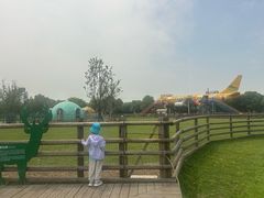 -苏州太湖西山岛开心农场