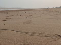 -日照灯塔风景区