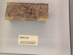 -天津古林古海岸遗迹博物馆