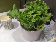 -古乐牛香·鲜牛肉牛杂火锅(吴江三里桥运东商业广场店)
