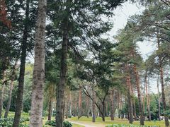 -黑龙江省森林植物园