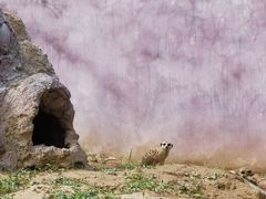 -宁波野生动物园