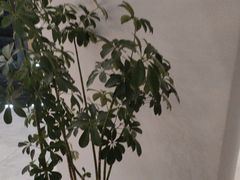 -影居starhoho·泳池别墅轰趴馆·天璇