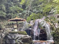-牛背梁国家森林公园