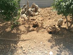 -石家庄市动物园