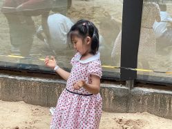 -PIPIKINGDOM皮皮王国欢乐号(欢乐海岸购物中心店)