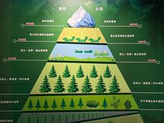 -迪庆藏族自治州博物馆