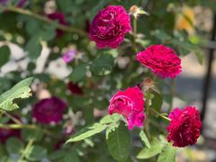 -上海交通大学(闵行校区)