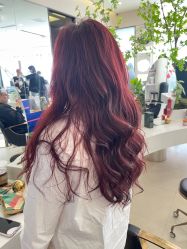 -GANO HAIR 