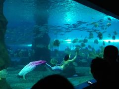 -北戴河圣蓝海洋公园