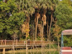 -水濂山森林公园