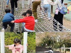 -杭州少年儿童公园