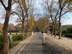-东湖磨山景区