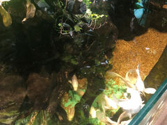 -中央电视塔旋转餐厅