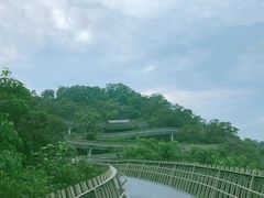-福道